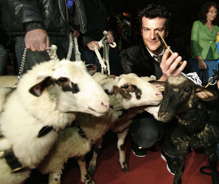 Director and sheep at 31st Toronto International Film Festival