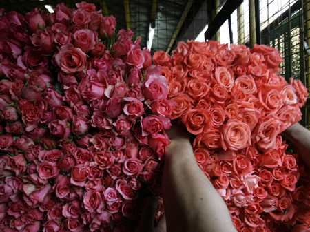 Be crazy about upcoming Valentine's Day