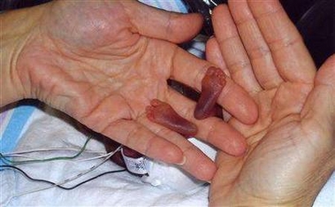 baby hands on adults
