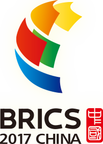 BRICS countries: playing a vital global role - 