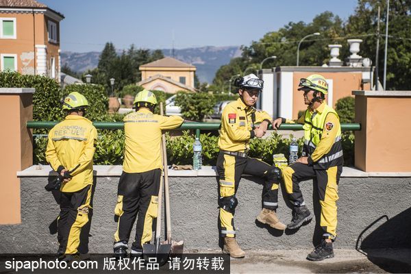 Chinese NGO arrives in Italy to help quake-hit region