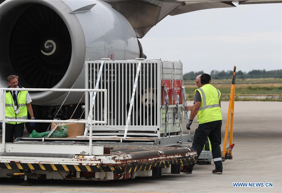 Two pandas arrive in Berlin from China