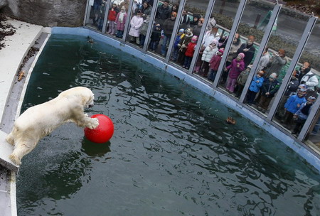 Animals have leisure time at Budapest zoo