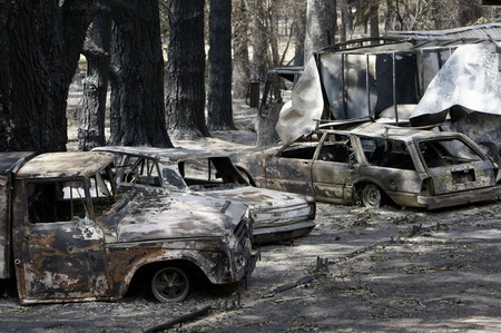 Millions of animals dead in Australia fires