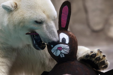 Animals play with mock Easter toys at zoo