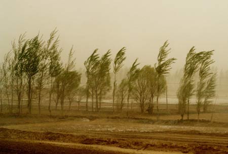 Sandstorm hits Inner Mongolia Autonomous Region