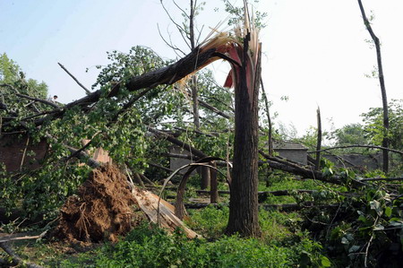 Storm leaves 22 dead in central China