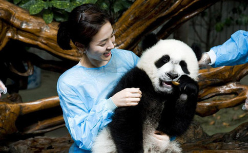 Panda ambassador Song Hye-Kyo