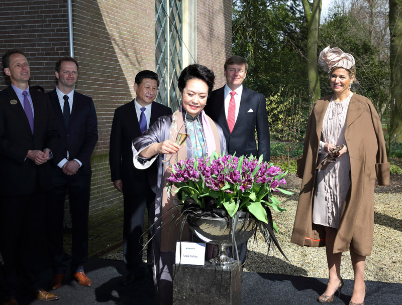 China's first lady blooms in kingdom of tulips