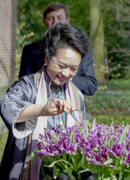 China's first lady blooms in kingdom of tulips