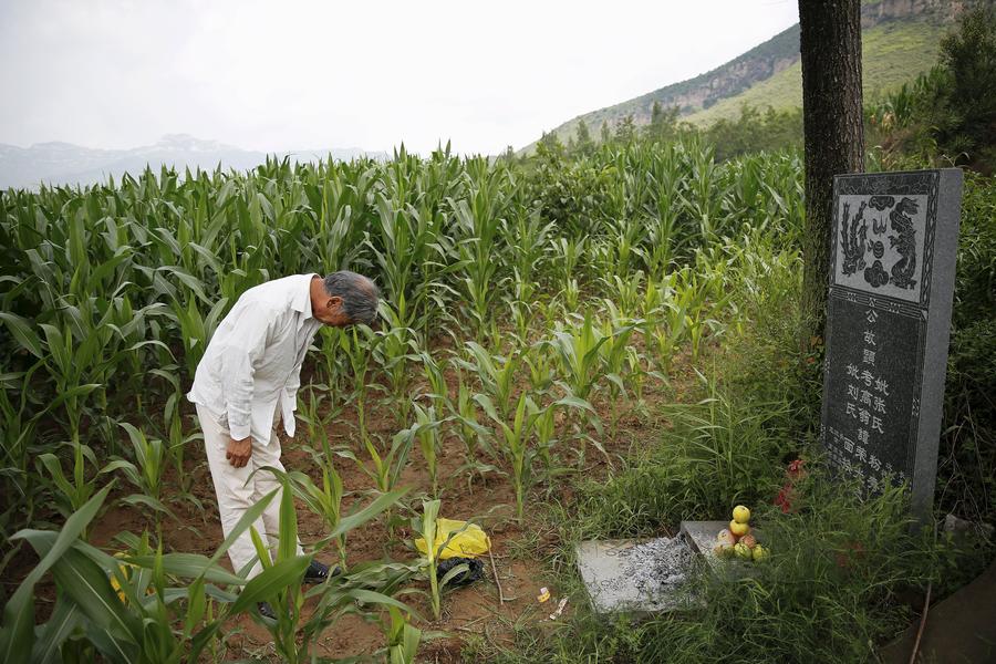 Comfort women: Scars have not been healed