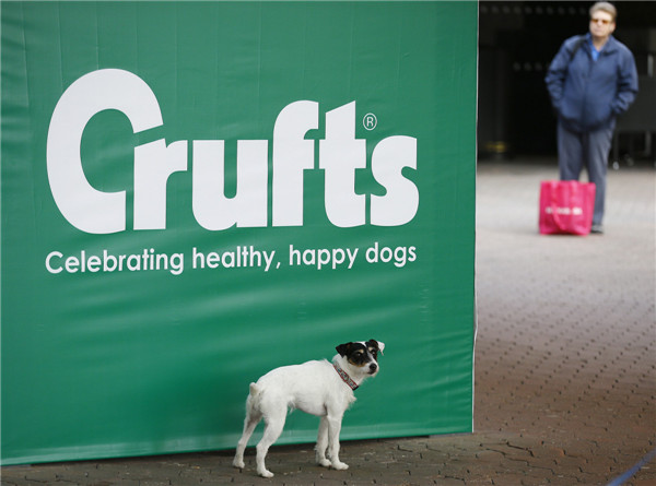 Crufts dog show kicks off in Birmingham, England