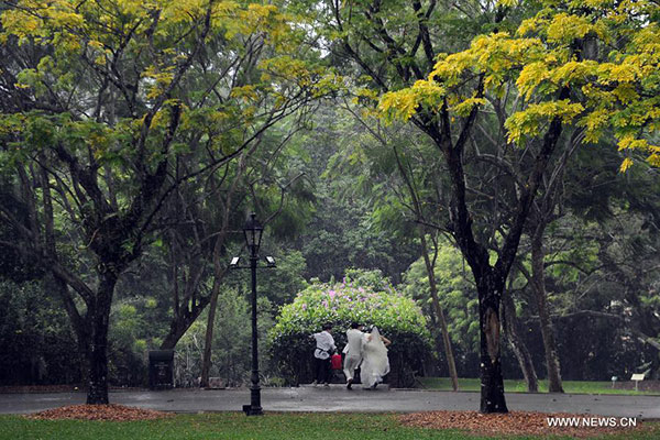 Views from Singapore Botanic Gardens