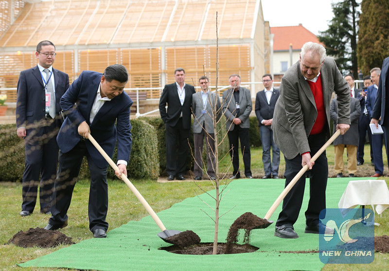 Trees of Friendship Chinese Xi has planted during his visits