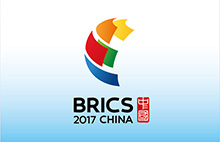 Themes and results of BRICS summits over the decade