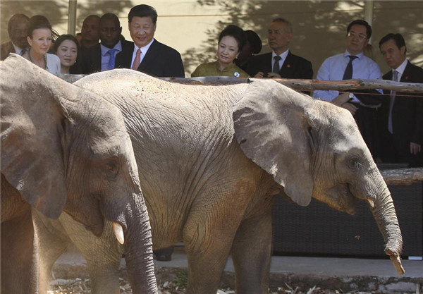 Xi reiterates China's commitment to wildlife protection