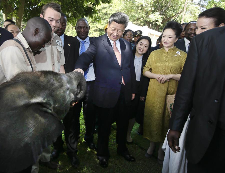 In pictures: Chinese president's visit to Zimbabwe