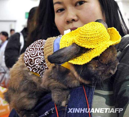 It's bunny time!