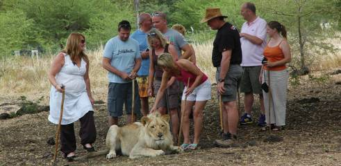 Safari adventure