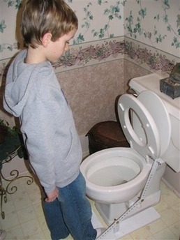 Toilet Seat Lifter