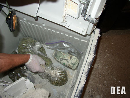 A U.S. Drug Enforcement Agency agent displays marijuana and cash confiscated during part of a five-month undercover drug investigation at the San Diego State University campus, in this undated handout photo from the DEA released May 6, 2008.