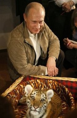 Putin given tiger cub as birthday present