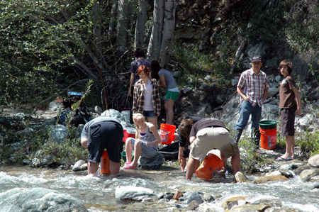 Gold rush revives in California amid financial crisis