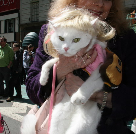 Pets dressed up for Easter Parade in NY