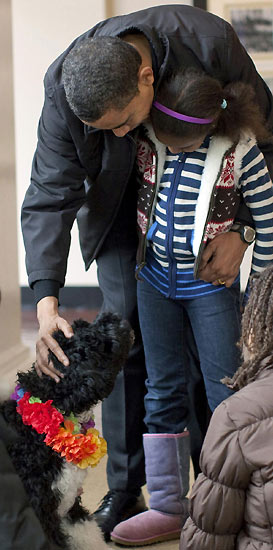 Meet the first dog of the United States