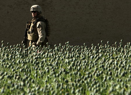 US troops target poppy farming in Afghanistan