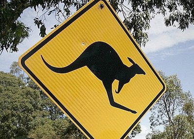 Kangaroo on the loose in New York: police