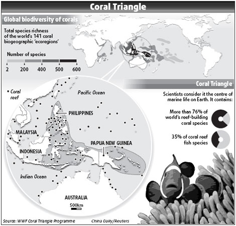 Ocean's Amazon under threat