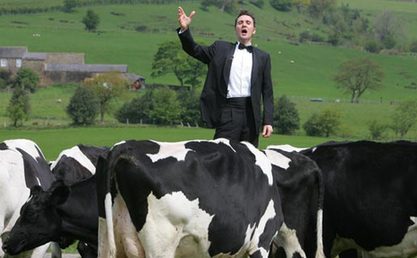 Tenor sings opera to ice cream maker's cows