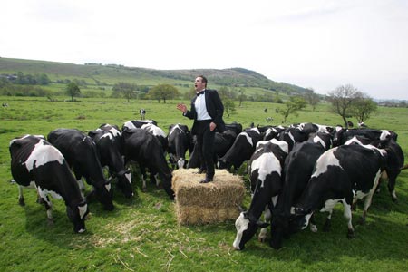 Tenor sings opera to ice cream maker's cows