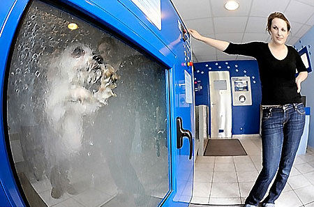 Is the dog washing machine an owner's best friend?