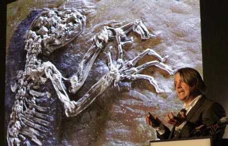 47-million-year-old human link revealed