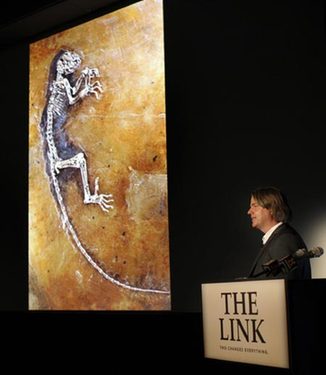 47-million-year-old human link revealed