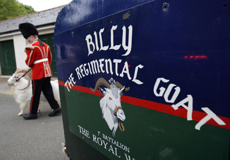 Goat William Windsor parades for his retirement