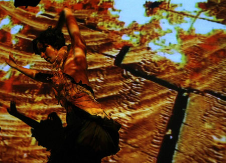 Eco Costume 2009 fashion show