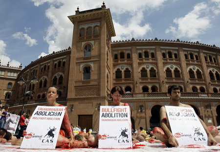 Animal rights activists call for ban of bullfight