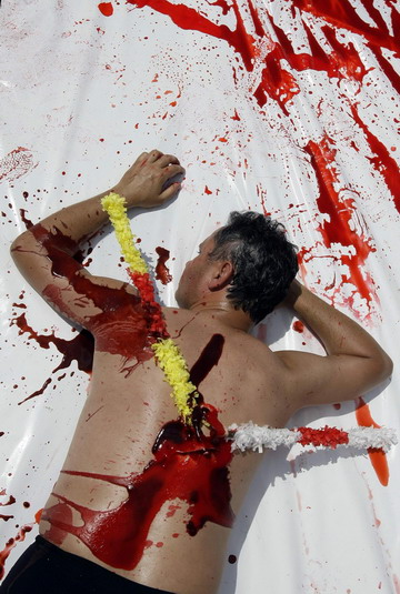 Animal rights activists call for ban of bullfight