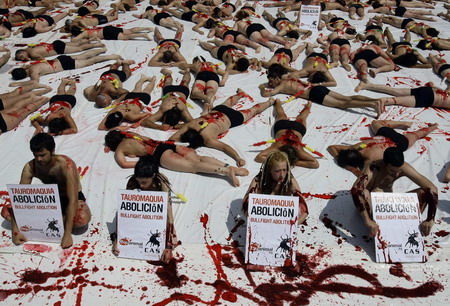 Animal rights activists call for ban of bullfight