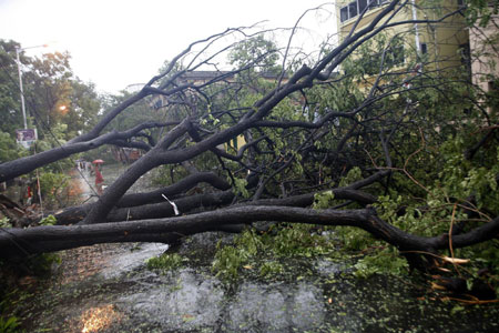 Cyclone Aila kills nearly 120 in Bangladesh, India