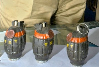 Dog brings in hand grenade to its owner