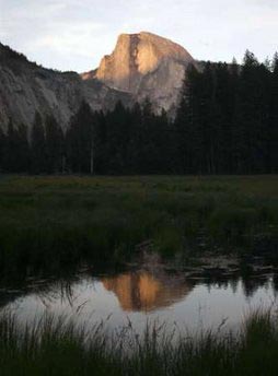 Hiker falls to his death from Yosemite's Half Dome