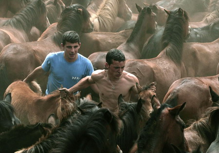Spanish horse wrestling festival