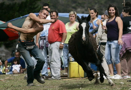 Spanish horse wrestling festival