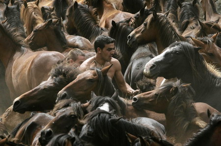 Spanish horse wrestling festival