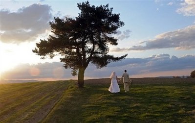 Almost 400 Koreans race to marry millionairess