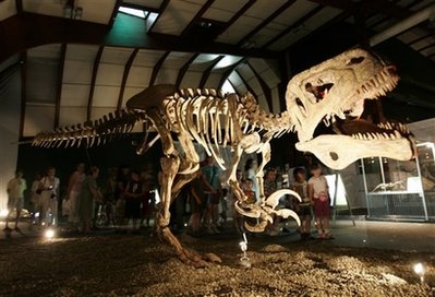 Dinosaurs much lighter than previously thought:study
